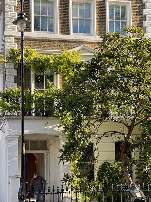 The image shows the front garden of a traditional brick townhouse, part of an outdoor landscaping makeover by Gardeners Acton. The garden features a paved pathway leading to the entrance, flanked by lush green shrubs and a small tree with dark green, glossy leaves. The front of the house has large sash windows with white frames, and a decorative white porch with classical columns, partially obscured by the foliage. A black wrought iron fence separates the garden from the street, which is visible at the bottom of the image. Close to the street, there is a black lamppost and a person dressed in dark clothing walking along the sidewalk. The overall scene highlights well-maintained garden beds, trimmed greenery, and an organized, inviting outdoor space emphasizing garden maintenance work by Gardeners Acton aimed at enhancing curb appeal in an urban residential setting.