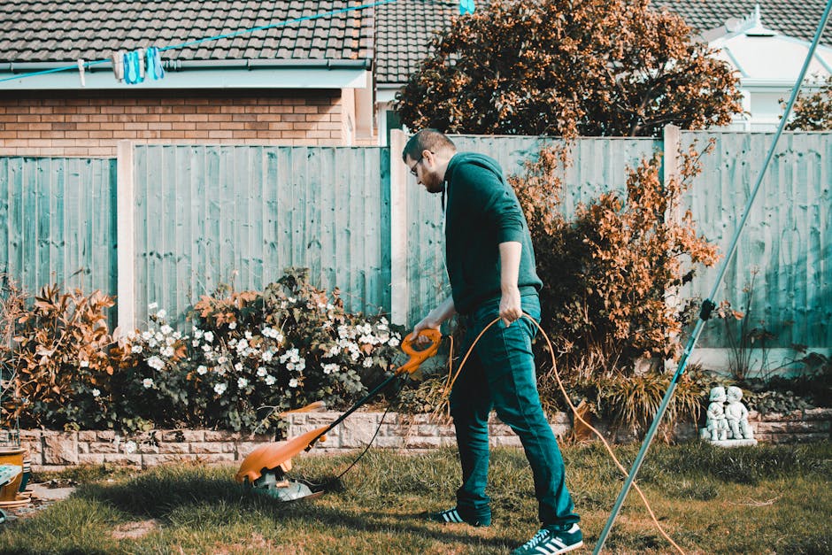 A man wearing a dark hoodie, jeans, and sneakers is using a corded electric grass trimmer to cut the grass in a garden. The garden features a well-maintained lawn, flower beds with blooming white and pink flowers, and a paved pathway. In the background, there is a wooden fence, shrubs with orange and green foliage, and a brick house with a tiled roof. A garden rake and a dustpan are visible on the lawn, and the scene is illuminated by natural daylight, indicating it is a clear, sunny day. The garden appears to be part of a residential outdoor space that is being maintained by Gardeners Acton, reflecting typical lawn care and hedge trimming activities related to garden maintenance and landscaping.