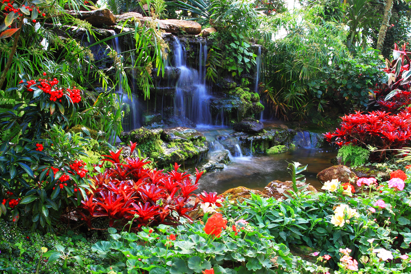 garden outdoor space